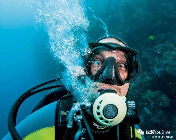 寻找奈良树花