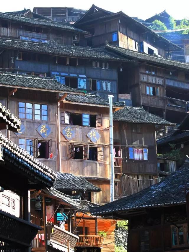 迷失在荒野